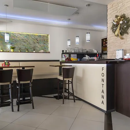 Fontana Pizzeria - Penzion Ceske Budejovice