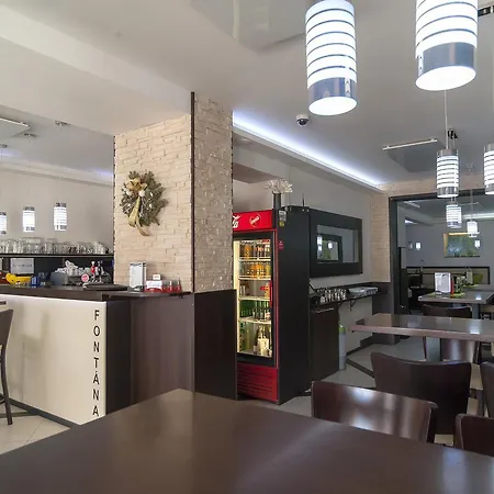 Fontana Pizzeria - 3* Czeskie Budziejowice