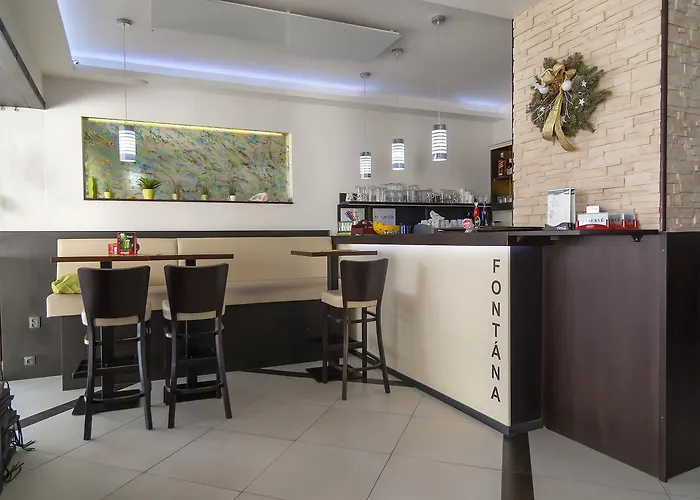 Fontana Pizzeria - בית הארחה צ'סקה בודיוביצה
