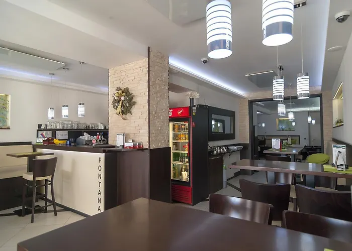 Fontana Pizzeria - 3* צ'סקה בודיוביצה